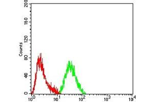 Flow Cytometry (FACS) image for anti-Phosphoinositide 3-kinase Regulatory Subunit 4 (PIK3R4) (AA 772-906) antibody (ABIN7193536)