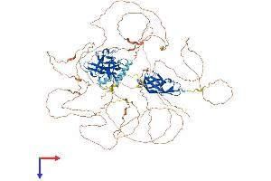 NFAT1 Protein (AA 1-927) (His tag)