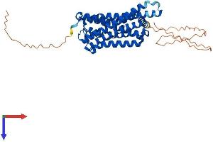 Opsin 3 (OPN3) (AA 1-400) protein (His tag)