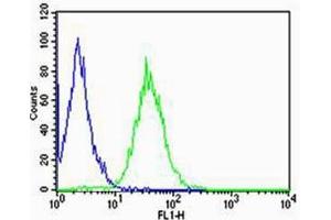 Flow cytometric analysis of Raji cells using CD74 antibody (green) and an isotype control of mouse IgG2b (blue); Ab was diluted at 1:25 dilution.
