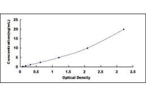 Typical standard curve (C11orf82 ELISA Kit)