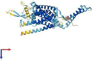 LMBRD1 Protein (AA 1-540) (His tag)