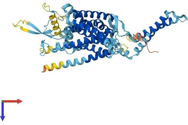 LMBRD1 Protein (AA 1-540) (His tag)