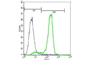 Flow Cytometry (FACS) image for anti-Colony Stimulating Factor 1 (Macrophage) (CSF1) (AA 201-300) antibody (ABIN1387727)