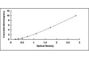 DNMT3A ELISA Kit