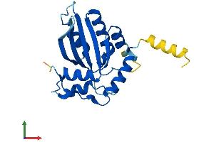 Protein Structure (PS) image for Activation-Induced Cytidine Deaminase (AICDA) (AA 1-198) protein (His tag) (ABIN7551935)