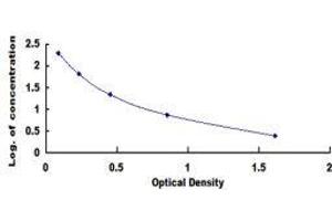 ELISA image for Prolactin (PRL) ELISA Kit (ABIN1873396)
