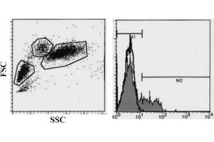 Flow Cytometry (FACS) image for anti-Killer Cell Lectin-Like Receptor Subfamily B, Member 1 (KLRB1) antibody (FITC) (ABIN487477) (CD161 Antikörper  (FITC))