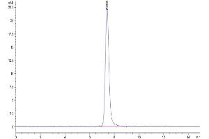 Size-exclusion chromatography-High Pressure Liquid Chromatography (SEC-HPLC) image for Plexin A1 (PLXNA1) (AA 28-1242) protein (His tag) (ABIN7275471)