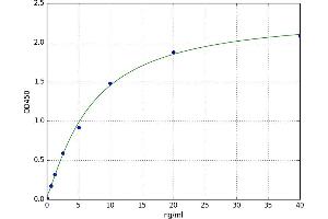 A typical standard curve