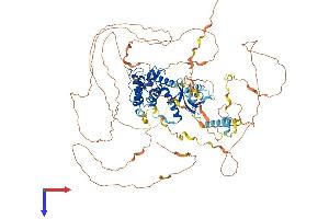 GAS2L2 Protein (AA 1-880) (His tag)