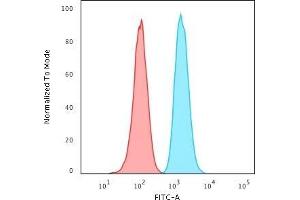 Flow Cytometric Analysis of PFA-fixed HeLa cells using GSTMu2 Mouse Monoclonal Antibody (CPTC-GSTMu2-2) followed by Goat anti-Mouse IgG-CF488 (Blue); Isotype Control (Red). (GSTM4 Antikörper)