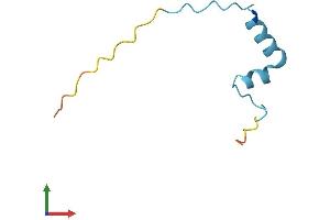 AlphaFold protein structure predicition of Human Recombinant SMKR1 Protein, UniprotID H3BMG3