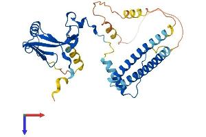 TAF7 Protein (AA 1-341) (His tag)