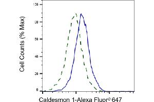 Validation of Caldesmon 1 knockdown using flow cytometry. (Rekombinanter Caldesmon Antikörper)
