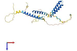 HES1 Protein (AA 1-282) (His tag)