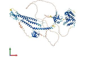 AlphaFold protein structure predicition of Mouse Recombinant Arhgap42 Protein, UniprotID B2RQE8