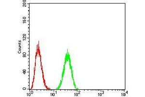 Flow cytometric analysis of A549 cells using BMP2 mouse mAb (green) and negative control (red). (BMP2 Antikörper  (AA 283-396))