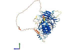 WDPCP Protein (AA 1-722) (His tag)