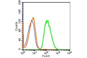 Flow Cytometry (FACS) image for anti-phospholipase C, beta 1 (phosphoinositide-Specific) (PLCB1) (AA 441-540) antibody (AbBy Fluor® 647) (ABIN1397745)