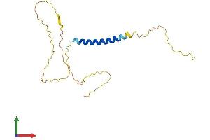 Protein Structure (PS) image for Glycophorin A (GYPA) (AA 1-168) protein (His tag) (ABIN7562870)