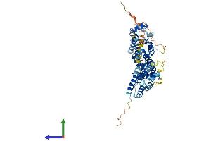 AlphaFold protein structure predicition of Mouse Recombinant Fam178b Protein, UniprotID Q24JP3