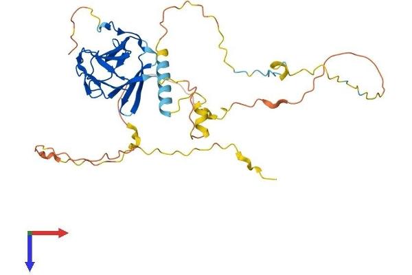 PPP1R8 Protein (AA 1-351) (His tag)
