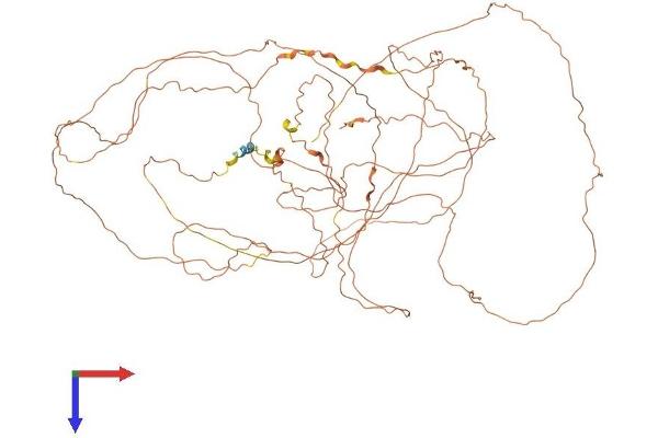 NSUN4 Protein (AA 1-806) (His tag)