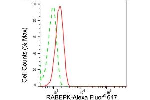 anti-Rab9 Effector Protein with Kelch Motifs (RABEPK) antibody