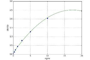 BCKDHA ELISA Kit