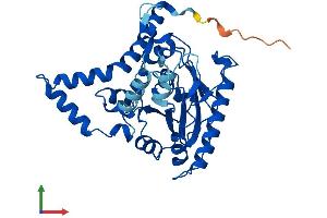 Protein Structure (PS) image for Monoacylglycerol O-Acyltransferase 3 (MOGAT3) (AA 1-341) protein (His tag) (ABIN7549538)