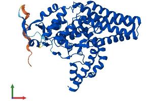 Protein Structure (PS) image for Fatty Acid Desaturase 3 (FADS3) (AA 1-445) protein (His tag) (ABIN7547527)
