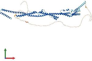 Protein Structure (PS) image for Protein Regulator of Cytokinesis 1 (PRC1) (AA 1-620) protein (His tag) (ABIN7555039)