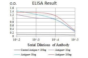 Black line: Control Antigen (100 ng), Purple line: Antigen(10 ng), Blue line: Antigen (50 ng), Red line: Antigen (100 ng), (YAP1 Antikörper)