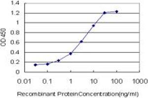 Detection limit for recombinant GST tagged FOXA2 is approximately 0. (FOXA2 Antikörper  (AA 363-457))