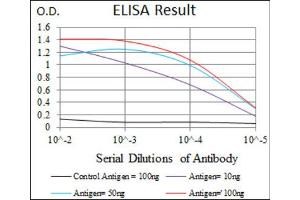 Red: Control Antigen (100ng) ; Purple: Antigen (10ng) ; Green: Antigen (50ng) ; Blue: Antigen (100ng). (IGF2 Antikörper  (AA 25-180))