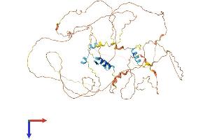ZNF503 Protein (AA 1-646) (His tag)