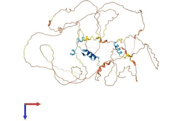 ZNF503 Protein (AA 1-646) (His tag)