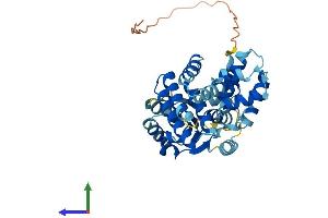 Protein Structure (PS) image for Replication Factor C (Activator 1) 4, 37kDa (RFC4) (AA 1-363) protein (His tag) (ABIN7551327)