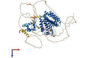 RFX3 Protein (AA 1-749) (His tag)