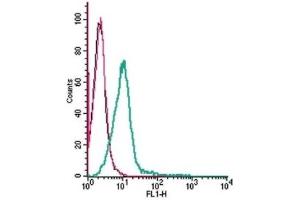 Cell surface detection of GPR35 by indirect flow cytometry in live intact mouse BV-2 microglia cell line: (black line) Cells. (GPR35 Antikörper  (Extracellular))