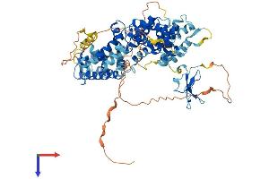 RASGRP4 Protein (AA 1-673) (His tag)