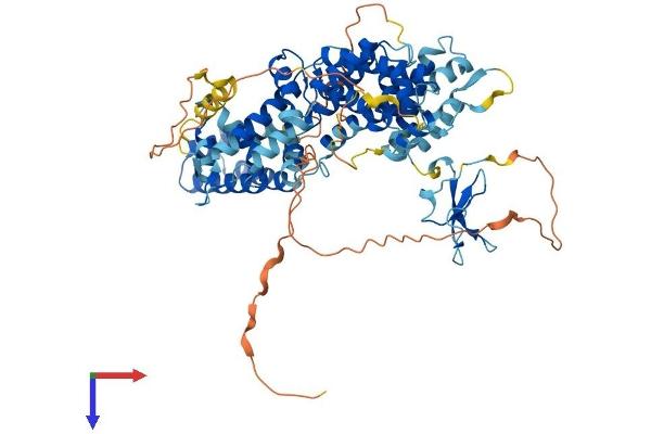 RASGRP4 Protein (AA 1-673) (His tag)