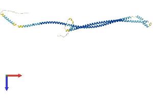 PLVAP Protein (AA 1-438) (His tag)
