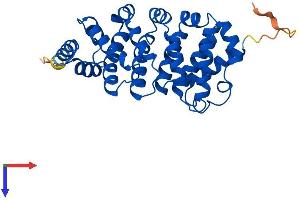 RQCD1 Protein (AA 1-299) (His tag)