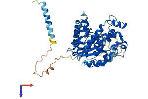 CHST1 Protein (AA 1-411) (His tag)