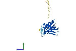 Protein Structure (PS) image for Integrin beta 1 Binding Protein 1 (ITGB1BP1) (AA 1-200) protein (His tag) (ABIN7562357)