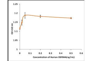 DEFB4A Protein