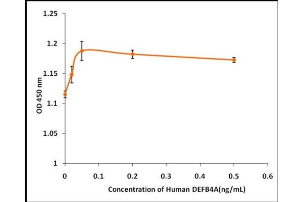 DEFB4A Protein