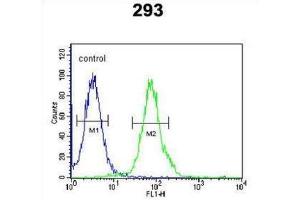 Flow Cytometry (FACS) image for anti-Rhotekin 2 (RTKN2) antibody (ABIN3002451) (RTKN2 Antikörper)